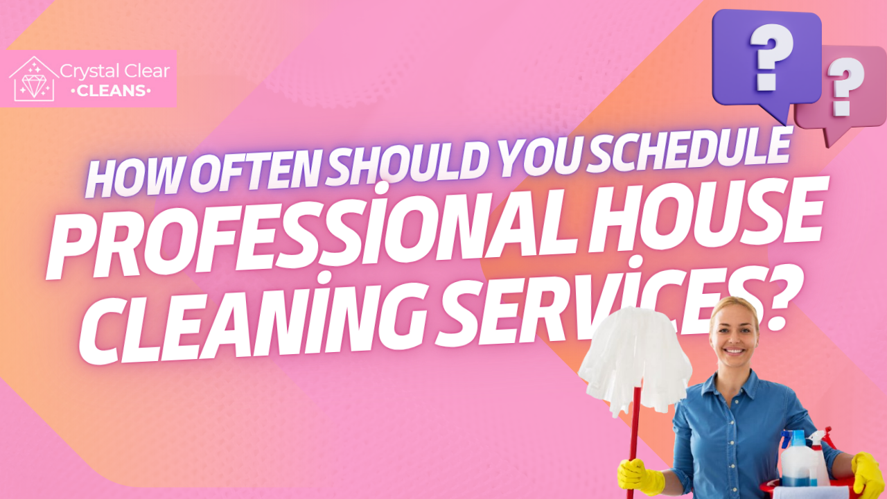 schedule professional cleaning service