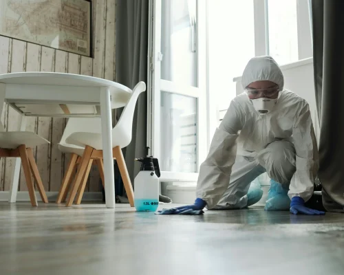 house cleaning person